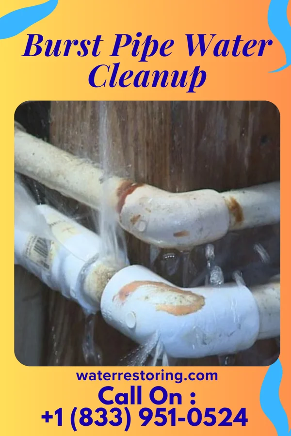 Burst Pipe Water Cleanup in Webster, SD