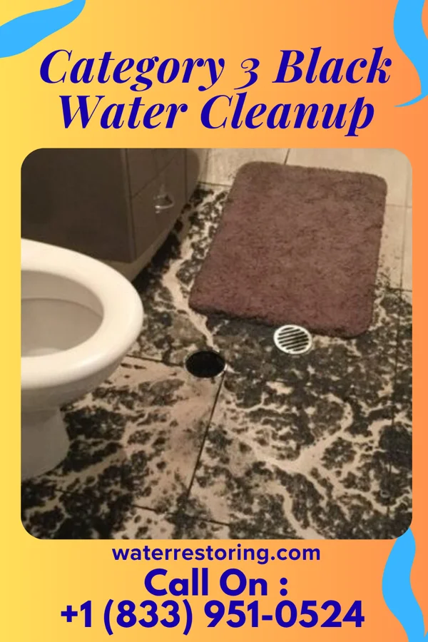 Category 3 Black Water Cleanup in Webster, SD