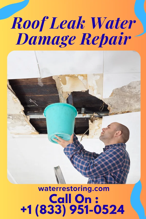Roof Leak Water Damage Repair in Webster, SD